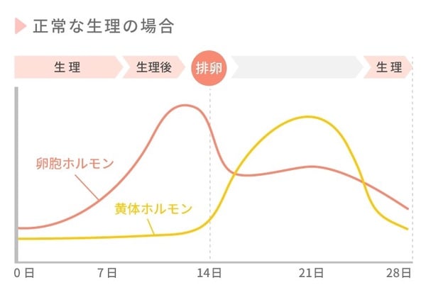 40歲月經沒來是更年期還是懷孕?從基礎體溫、週期辨認是更年期或懷孕