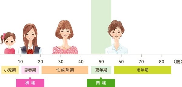 更年期吃什麼？舒緩盜汗、熱潮紅的食物菜單，重點補充關鍵營養素