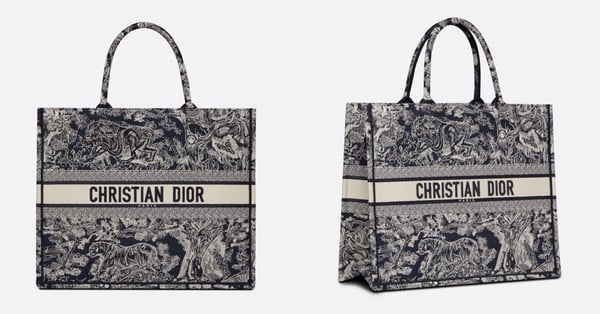 Dior book tote推全新鏈帶款！最新官網尺寸整理