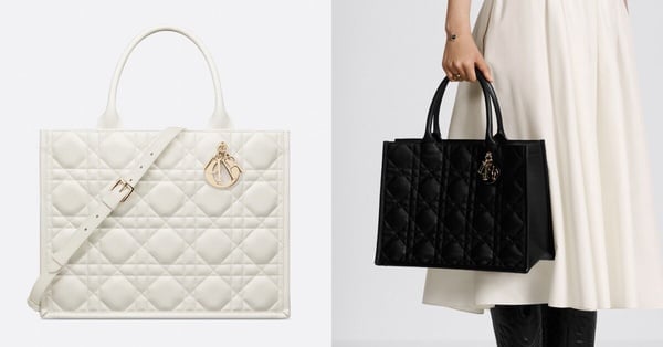 Dior book tote推全新鏈帶款！最新官網尺寸整理