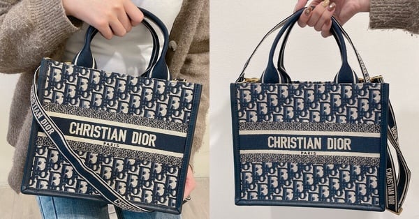 Dior Book Tote全新「藤格紋肩帶款」剛上架就賣翻！官網尺寸＋價格整理，奶茶色必收！