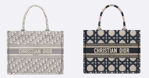 Dior book tote推全新鏈帶款！最新官網尺寸整理