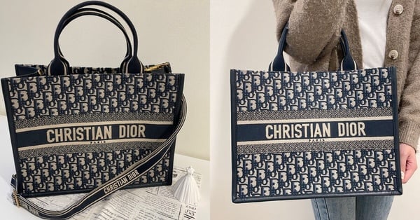 Dior Book Tote全新「藤格紋肩帶款」剛上架就賣翻！官網尺寸＋價格整理，奶茶色必收！