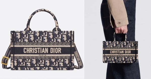 Dior Book Tote全新「藤格紋肩帶款」剛上架就賣翻！官網尺寸＋價格整理，奶茶色必收！