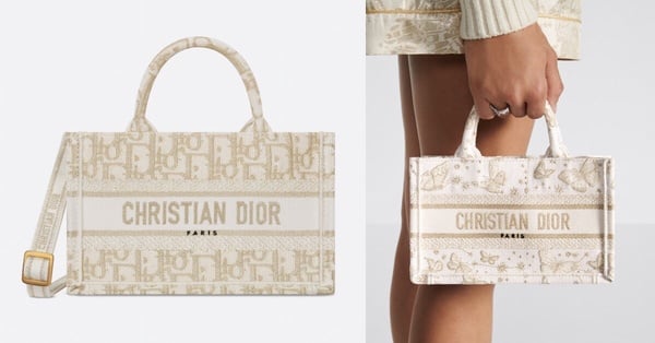 Dior Book Tote全新「藤格紋肩帶款」剛上架就賣翻！官網尺寸＋價格整理，奶茶色必收！