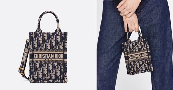 Dior Book Tote全新「藤格紋肩帶款」剛上架就賣翻！官網尺寸＋價格整理，奶茶色必收！