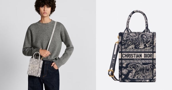 Dior Book Tote全新「藤格紋肩帶款」剛上架就賣翻！官網尺寸＋價格整理，奶茶色必收！