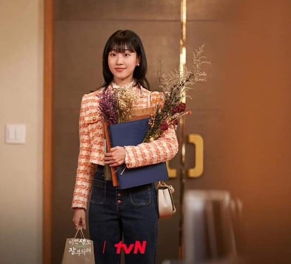 室內植物正夯!「龜背芋」超詳細新手照護指南,「這樣擺」招好運、招財還能消除負能量