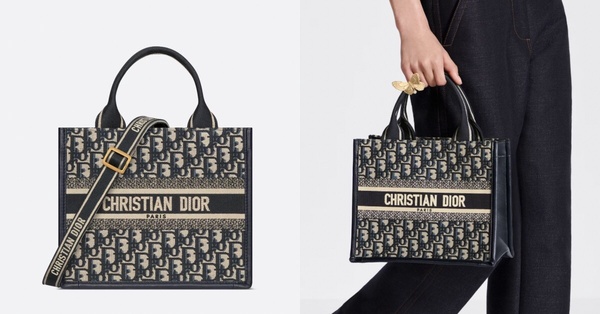 2024最新「老花精品包」推薦5：Dior Book Tote小碼，NT$110,000