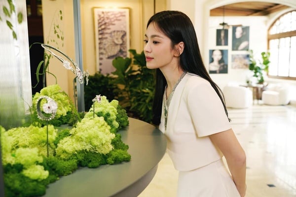 土象星座解析大全!金牛/處女/魔羯座優缺點、最配組合一次看,加碼2024上半年運勢分析