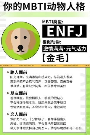你的「MBTI動物人格」是什麼？陸網超夯心理測驗，12題測你的人格特質跟哪種動物最相似