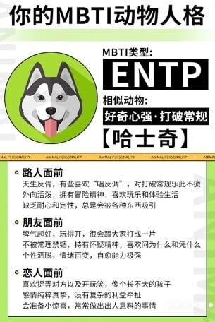 你的「MBTI動物人格」是什麼？陸網超夯心理測驗，12題測你的人格特質跟哪種動物最相似