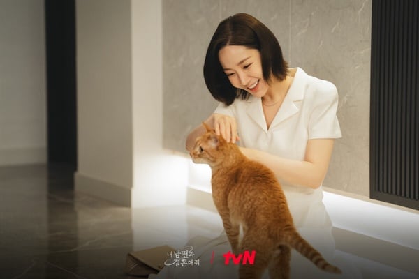 你的「MBTI動物人格」是什麼？陸網超夯心理測驗，12題測你的人格特質跟哪種動物最相似