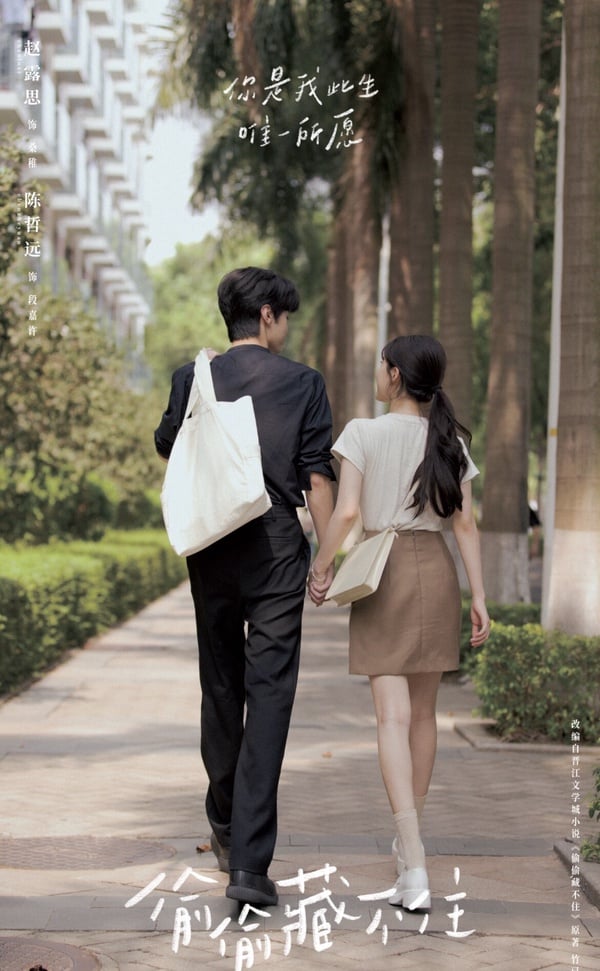 《偷偷藏不住》6大看點：分集劇情、角色介紹，趙露思甜寵純愛劇！