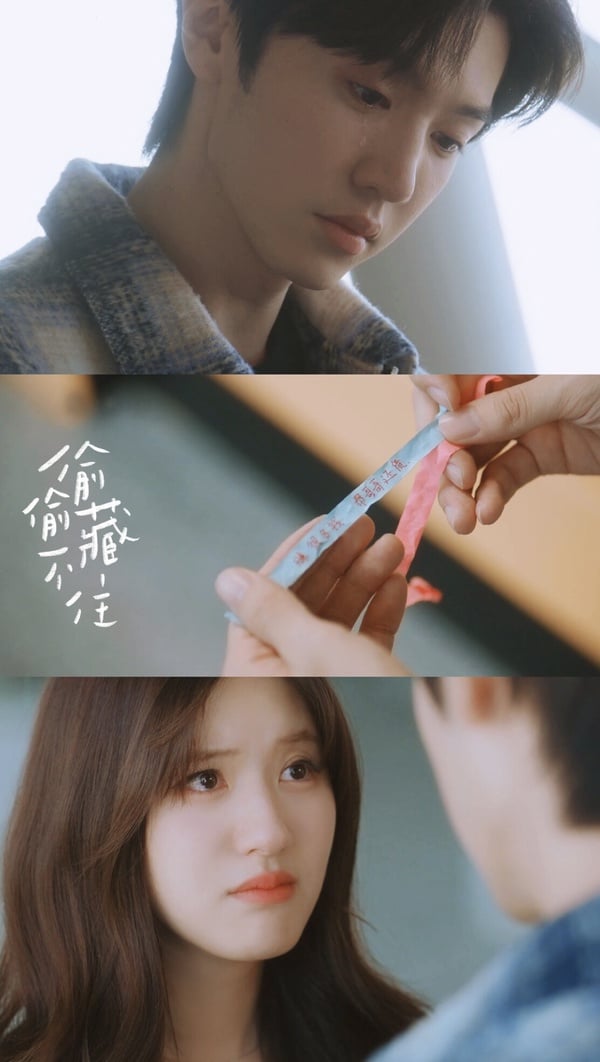 《偷偷藏不住》6大看點：分集劇情、角色介紹，趙露思甜寵純愛劇！