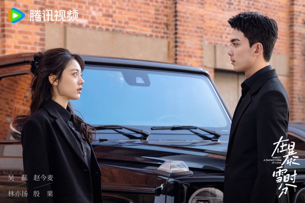 墨寶非寶小說改編陸劇評分Top7!《親愛的熱愛的》6.6分《在暴雪時分》6.9分,冠軍是它