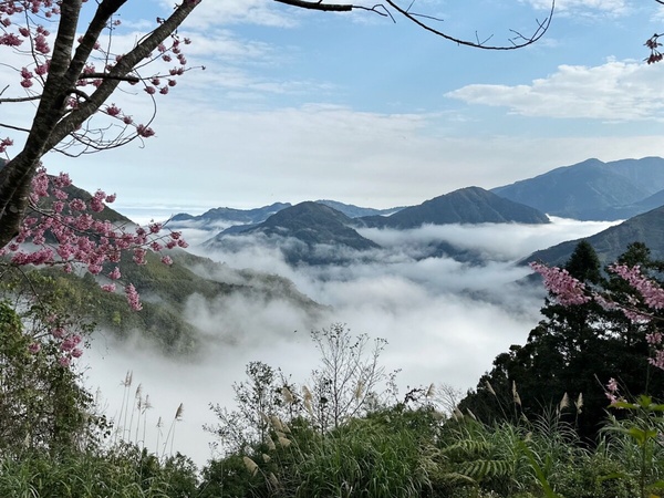 蟬說:山中靜靜