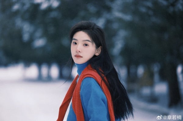 《偷偷藏不住》姐妹作《難哄》官宣陣容:白敬亭出演桑延、桑稚不是趙露思換「她」演!