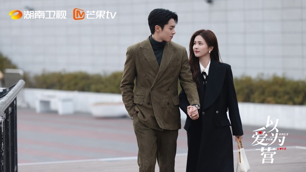 近1年「播劇效果最成功」甜愛陸劇TOP10!《在暴雪時分》第9《以愛為營》第5,冠軍是它