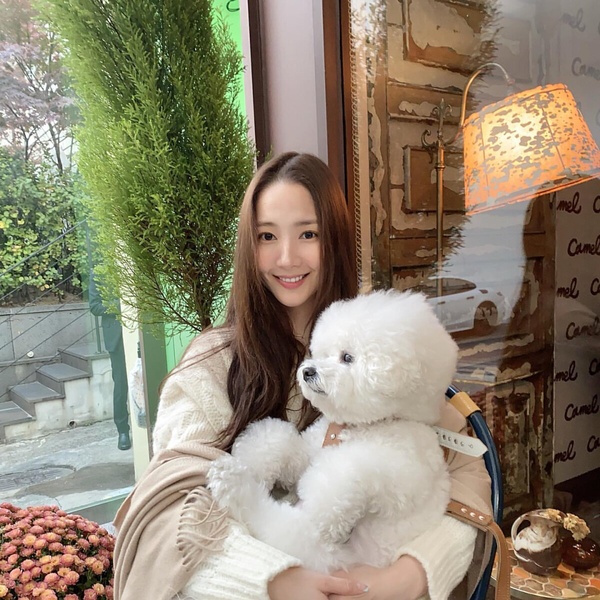 INFP調停者「頂级隱藏天賦TOP7」！擅長模仿、吸取他人智慧，是天生的創作者+學霸