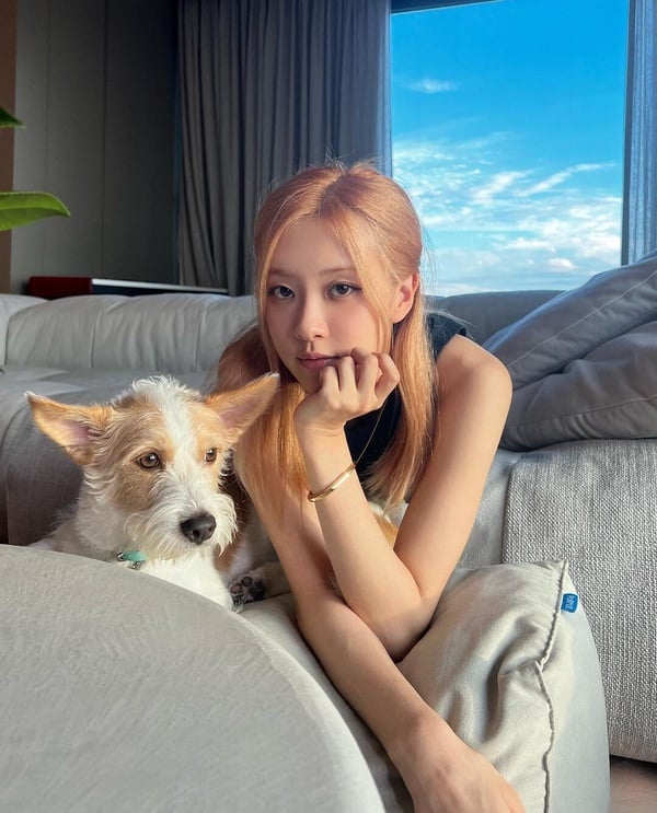 「INFJ提倡者」在12星座中不同模樣！白羊異常理性、天蠍對批評很敏感，這星座很神秘