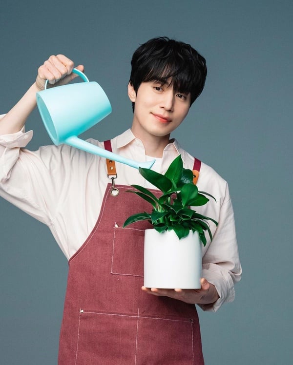 《淚之女王》金秀賢根本不老男神！韓劇男星舊照對比，李棟旭零差別，朴炯植現在帥多了