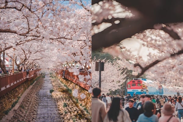 2024「韓國旅遊必備八大App 推薦」:不會韓文也能看懂地鐵圖,這張神卡是外國人必備!