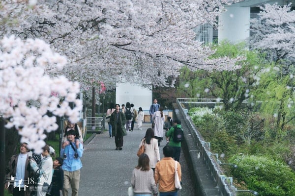 許光漢《青春18x2 通往有你的旅程》景點懶人包，打卡同款日本唯美景點超簡單！