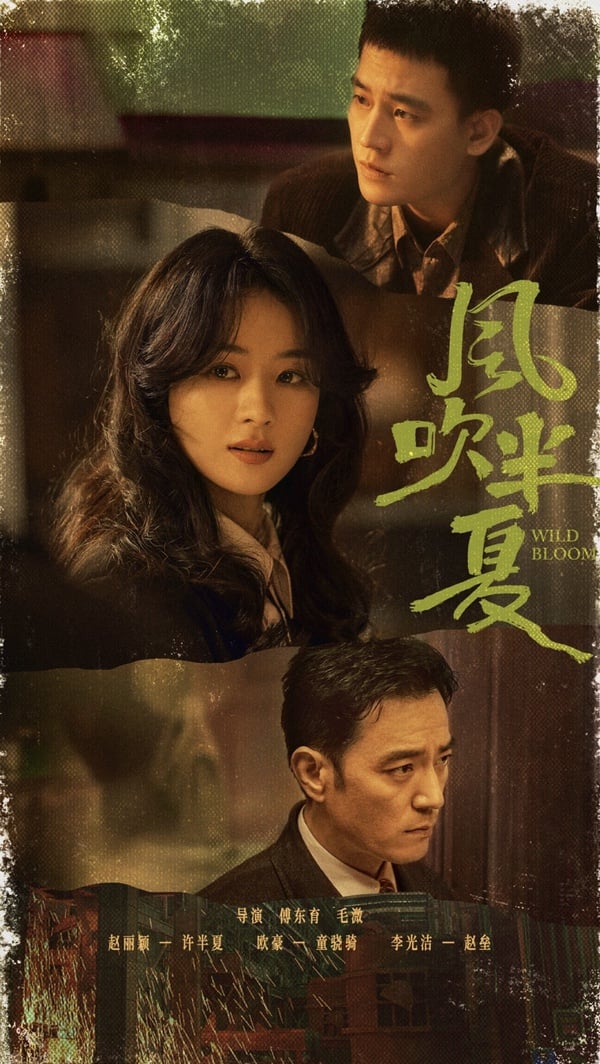盤點《與鳳行》趙麗穎的六部大女主劇: