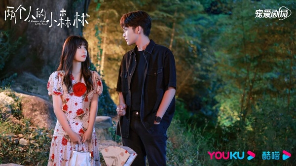 陸劇95小花值得一追的現偶劇!白鹿這部比《以愛為營》甜,周也《別對我動心》獲好評!
