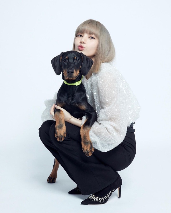 BLACKPINK Lisa十件事BLACKPINK Lisa十