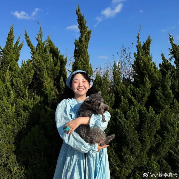陸劇《與鳳行》演員古裝vs.時裝！趙麗穎童顏，林更新穿時裝顯老，辛雲來穿西裝也帥！