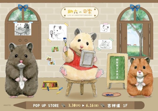 超萌的「助六の日常」期間限定快閃店即日起至6月16日在吉祥道登場