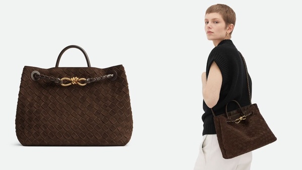 老錢風必備「棕色麂皮包」推薦：Bottega Veneta Medium Andiamo