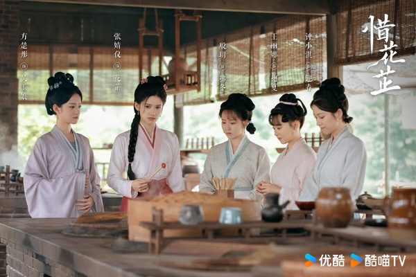 張婧儀＆胡一天《惜花芷》開播評價