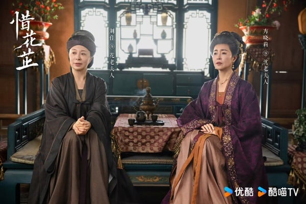 張婧儀＆胡一天《惜花芷》開播評價