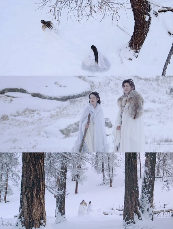 《七夜雪》劇情五大看點&角色介紹:《蓮花樓》導演續作、二搭曾舜晞演繹BE愛情美學