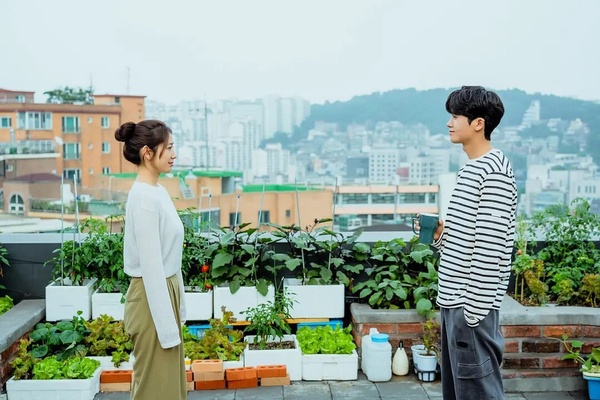 近期Netflix韓劇「全球積分」TOP6!《低谷醫生》第3,這部打敗金智媛《淚之女王》奪冠