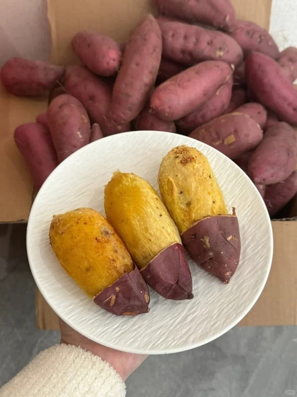 瘦身的好朋友!營養師授減肥「吃地瓜最佳時間&方法」,各色地瓜熱量&營養價值懶人包