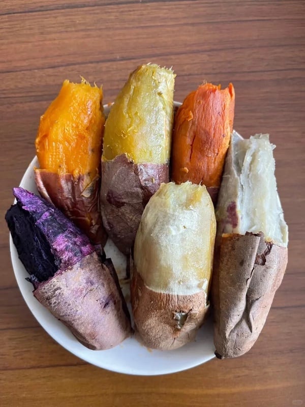 瘦身的好朋友!營養師授減肥「吃地瓜最佳時間&方法」,各色地瓜熱量&營養價值懶人包