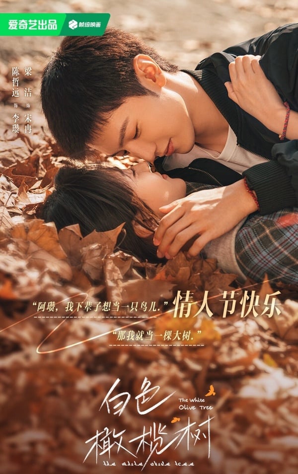 8對演技實力派的現偶劇CP！《春色寄情人》雙向治癒，《微暗之火》姐弟戀張力拉滿！