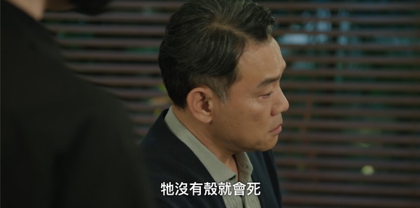 《淚之女王》劇情隱喻！拿破崙畫像暗示結局走向，「它」象徵賢祐對海仁永恆不變的愛！