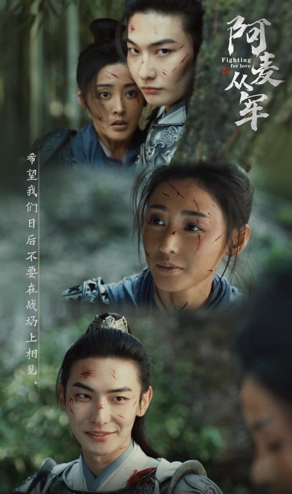 《阿麥從軍》劇情看點、角色介紹:大女主古裝劇,張天愛女扮男裝從軍復仇!