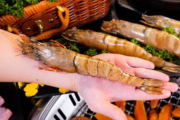 5月生日優惠餐廳:哞哞屋和牛燒肉-壽星享巨大海虎蝦吃到飽