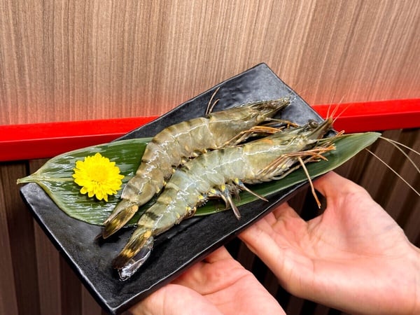 5月生日優惠餐廳:肉之間 ‧ 大盤肉幸福鍋物-免費送巨大海虎蝦