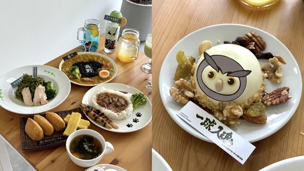 周邊免費送!《排球少年!!》主題咖啡廳登場,排球少年限定周邊&各校應援主題餐搶先看