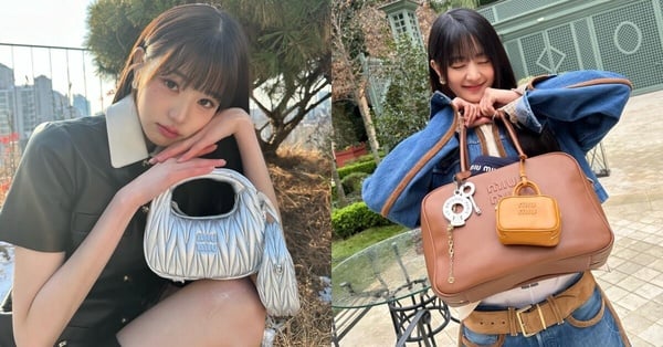 日幣貶近34年新低！Miu Miu必買新包「台日價差對比」，張員瑛同款現省兩萬還能退稅