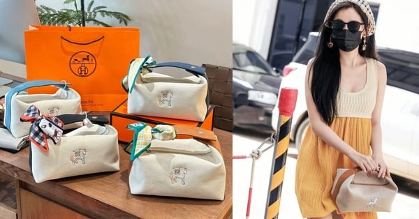 2024精品飯盒包推薦：Hermès Bride-a-Brac case，價格店洽