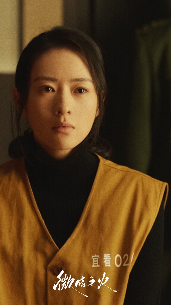 近期陸劇熱度榜TOP10!《春色寄情人》第六《承歡記》第四,《新生》衝上Netflix第一