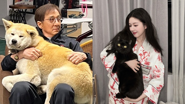 MBTI人格適合養哪種貓狗！